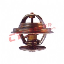 DH300节温器