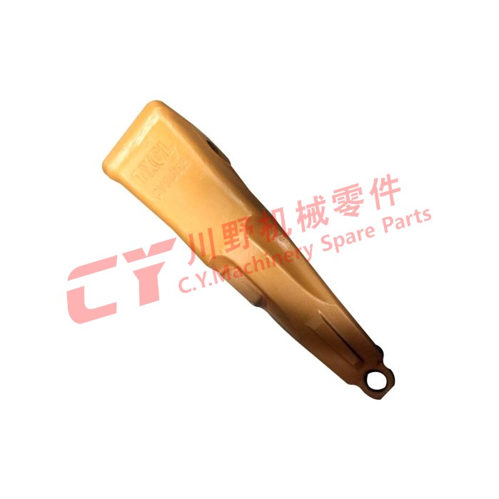CY-F-0036